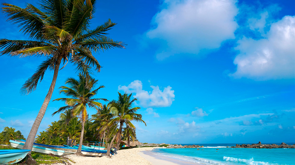 Beach with palm trees in Cozumel, Mexico